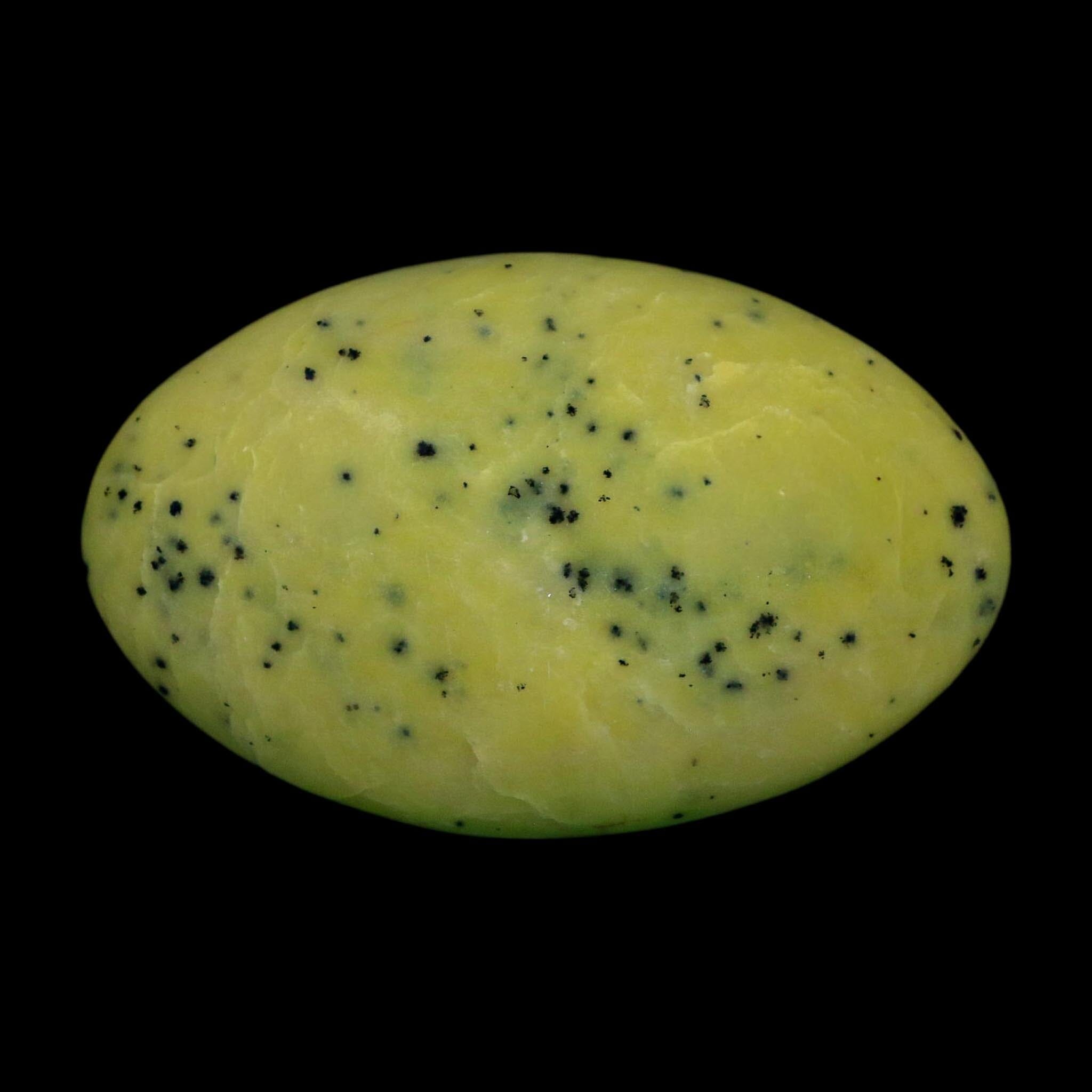3.2" Natural Polished Serpentine Green And Yellow Palm Stone Mineral Gemstone Pakistan - Fossil Age Minerals