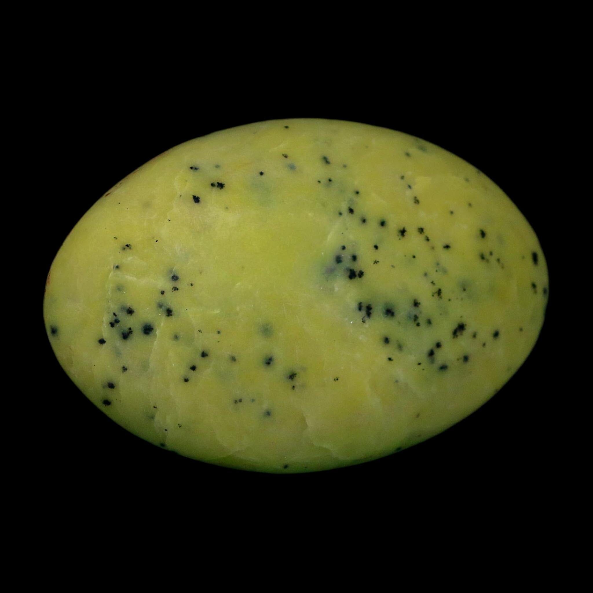 3.2" Natural Polished Serpentine Green And Yellow Palm Stone Mineral Gemstone Pakistan - Fossil Age Minerals