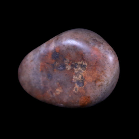 1.3" Sauropod Dinosaur Stomach Stone Gastrolith Rock Gizzard Stone COA