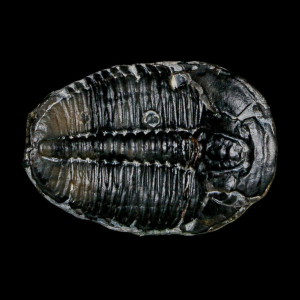 1.4