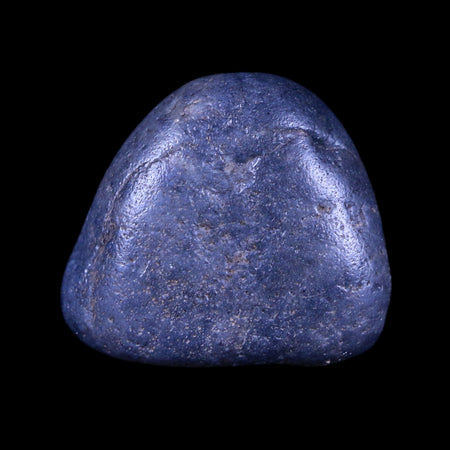 1" Sauropod Dinosaur Stomach Stone Gastrolith Rock Gizzard Stone COA