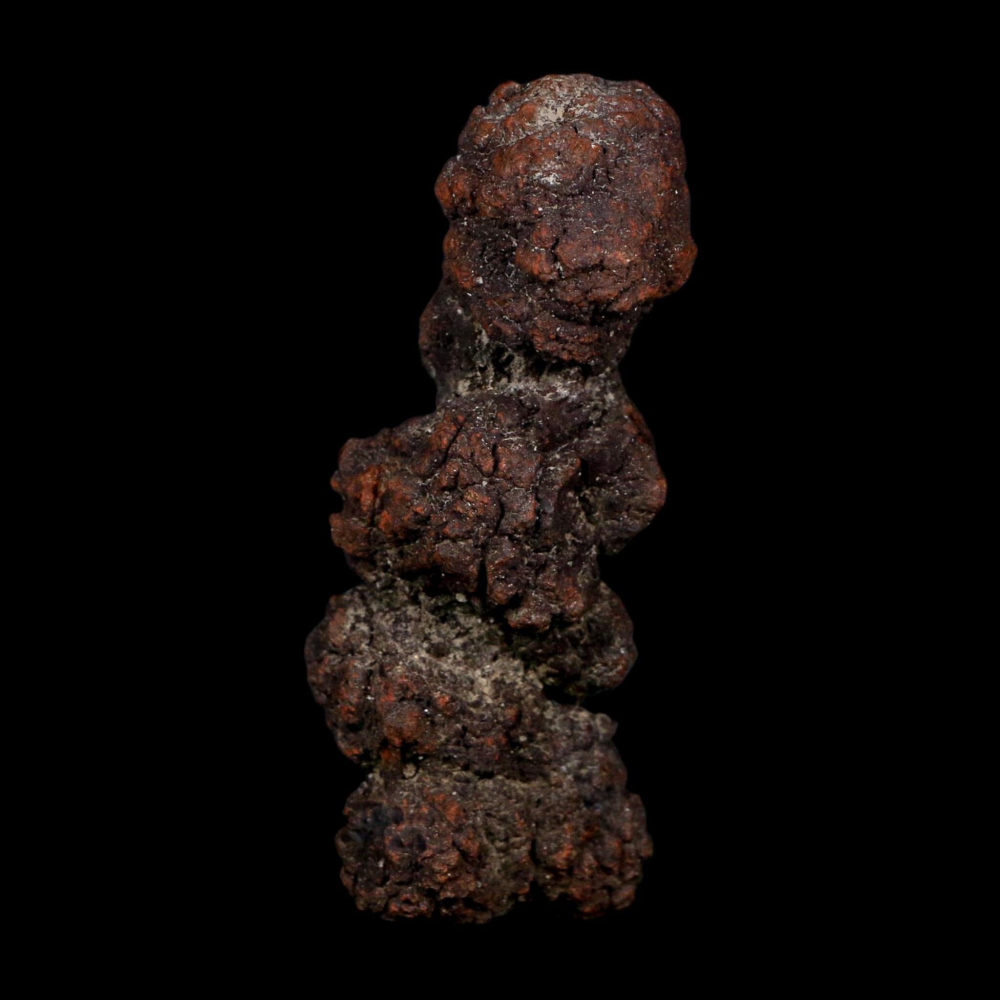 3.3" Prehistoric Coprolite Fossil Specimen Poop Dung Miocene Age Madagascar COA - Fossil Age Minerals