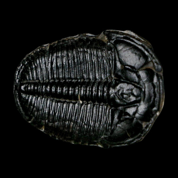 1.4