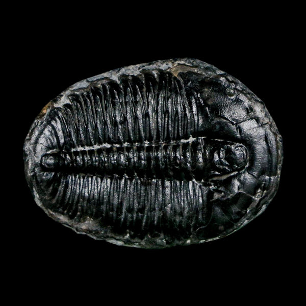 1.4