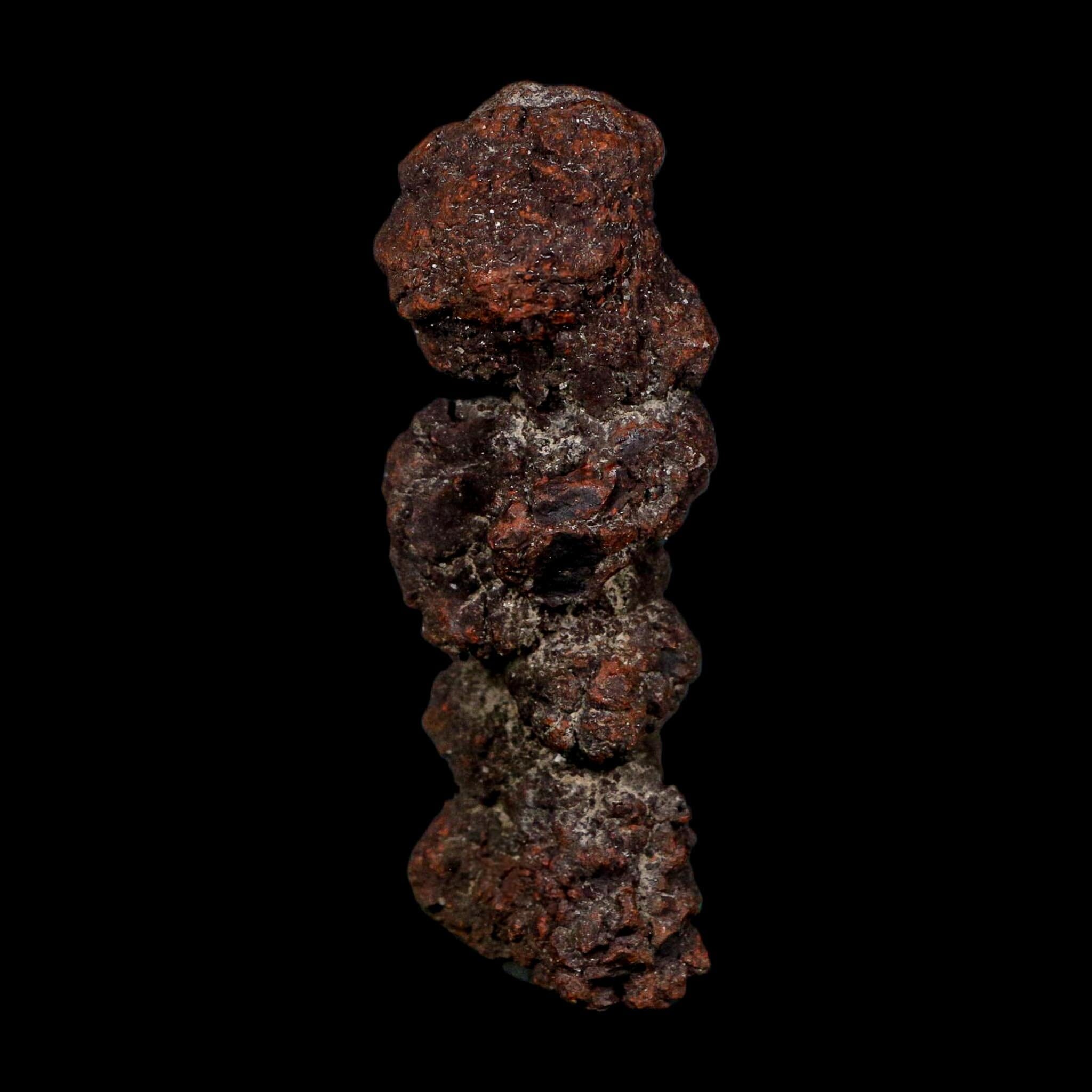 3.3" Prehistoric Coprolite Fossil Specimen Poop Dung Miocene Age Madagascar COA - Fossil Age Minerals