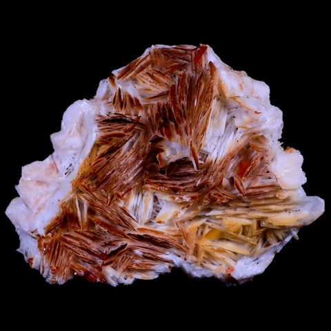 3" Sparkly Red Vanadinite Crystals Orange Barite Blades Mineral Mabladen Morocco - Fossil Age Minerals