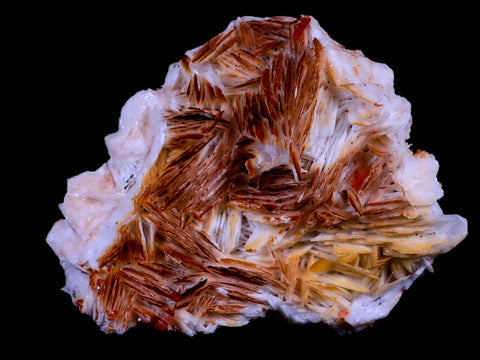 3" Sparkly Red Vanadinite Crystals Orange Barite Blades Mineral Mabladen Morocco - Fossil Age Minerals