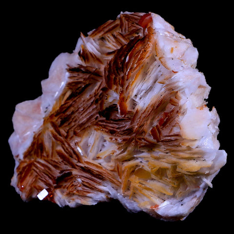 3" Sparkly Red Vanadinite Crystals Orange Barite Blades Mineral Mabladen Morocco - Fossil Age Minerals