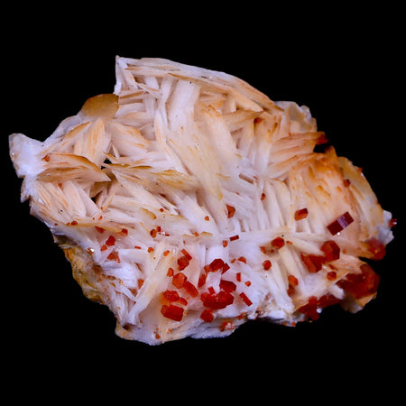 2.6" Sparkly Red Vanadinite Crystals Orange Barite Blades Mineral Mabladen Morocco
