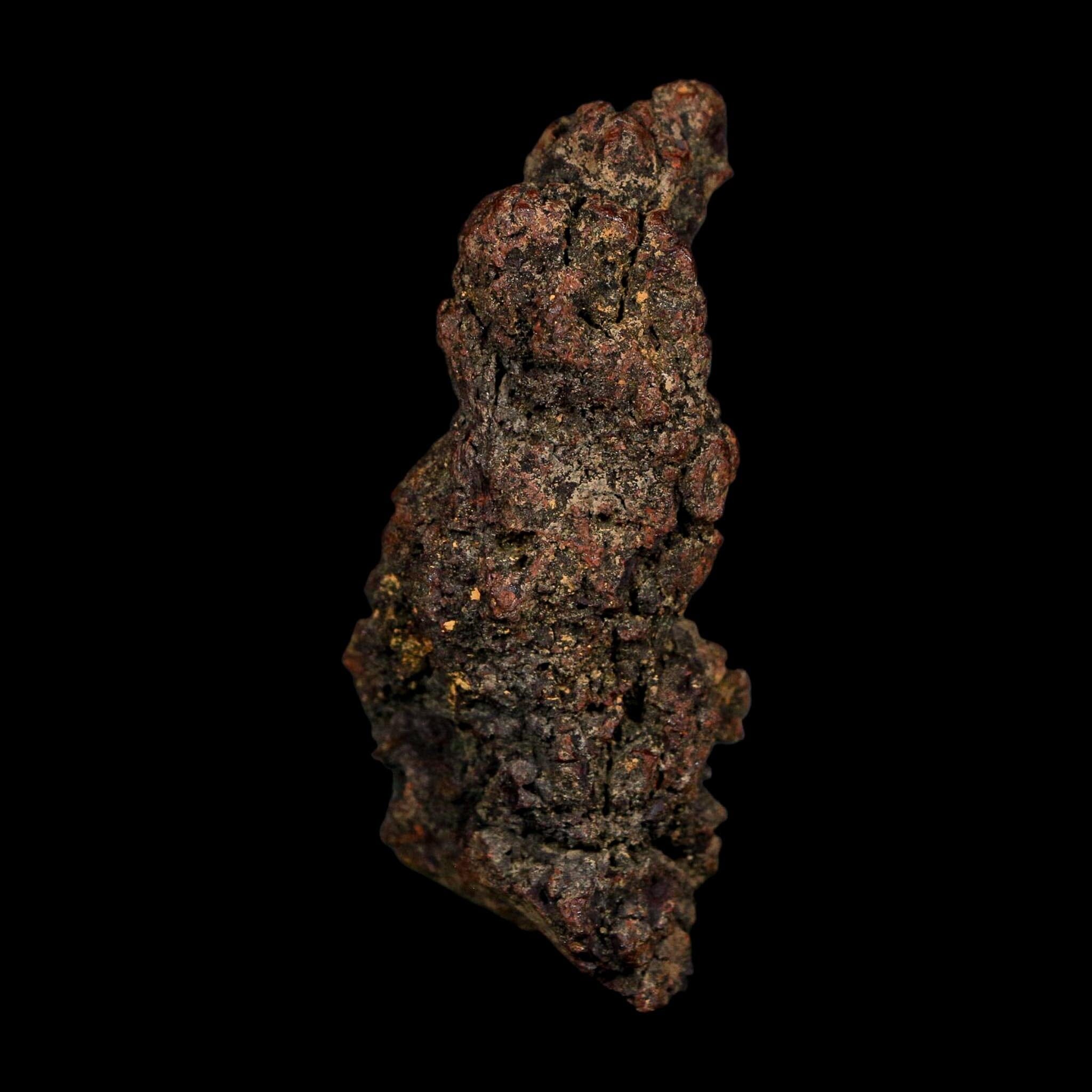 2.9" Prehistoric Coprolite Fossil Specimen Poop Dung Miocene Age Madagascar COA - Fossil Age Minerals