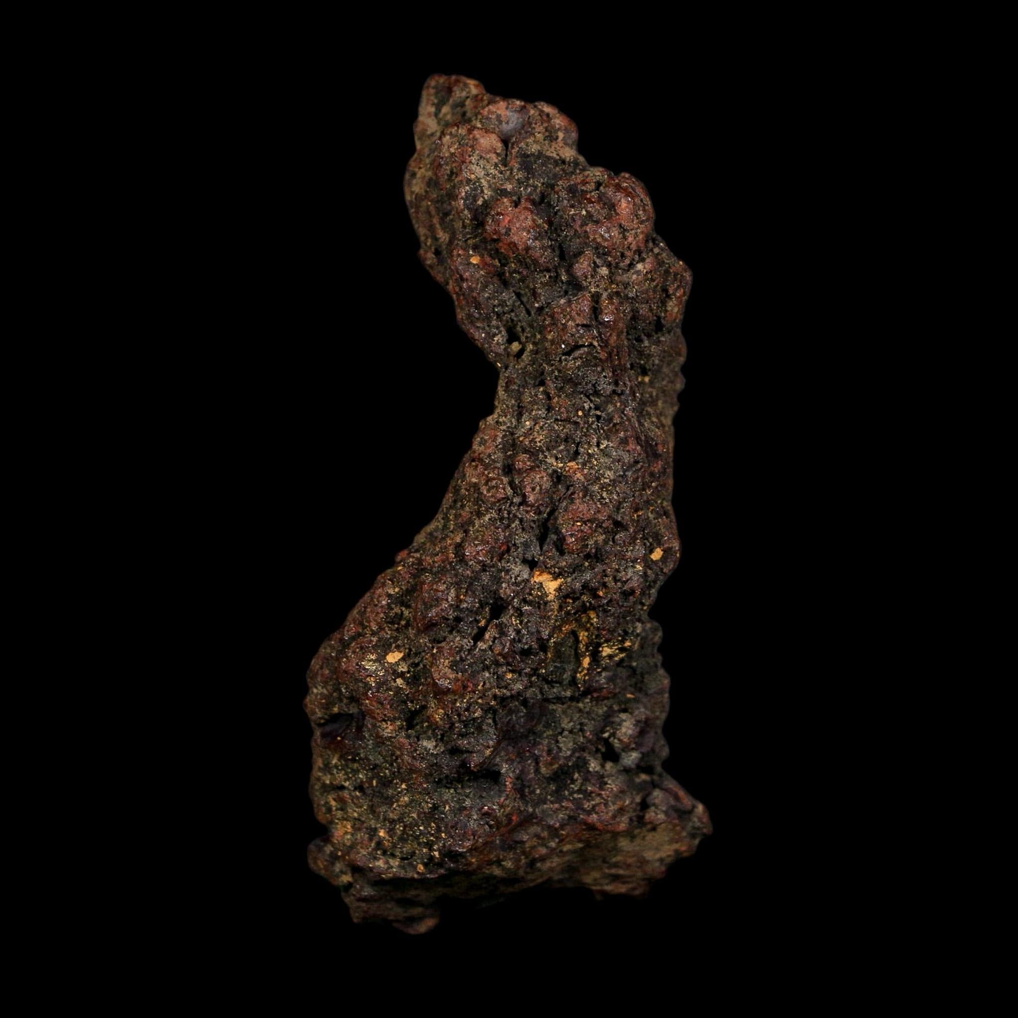 2.9" Prehistoric Coprolite Fossil Specimen Poop Dung Miocene Age Madagascar COA - Fossil Age Minerals