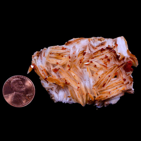 2.5" Sparkly Red Vanadinite Crystals Orange Barite Blades Mineral Mabladen Morocco - Fossil Age Minerals