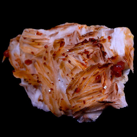 2.5" Sparkly Red Vanadinite Crystals Orange Barite Blades Mineral Mabladen Morocco - Fossil Age Minerals