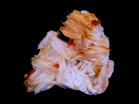 1.7" Sparkly Red Vanadinite Crystals Orange Barite Blades Mineral Mabladen Morocco - Fossil Age Minerals