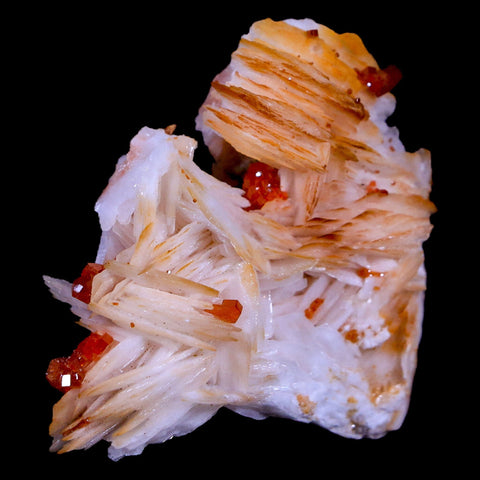 1.7" Sparkly Red Vanadinite Crystals Orange Barite Blades Mineral Mabladen Morocco - Fossil Age Minerals