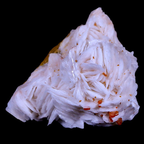 2.2" Sparkly Red Vanadinite Crystals White Barite Blades Mineral Mabladen Morocco - Fossil Age Minerals