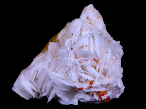 2.2" Sparkly Red Vanadinite Crystals White Barite Blades Mineral Mabladen Morocco - Fossil Age Minerals