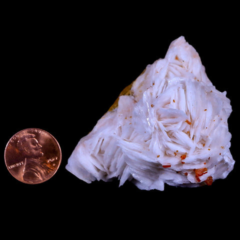 2.2" Sparkly Red Vanadinite Crystals White Barite Blades Mineral Mabladen Morocco - Fossil Age Minerals