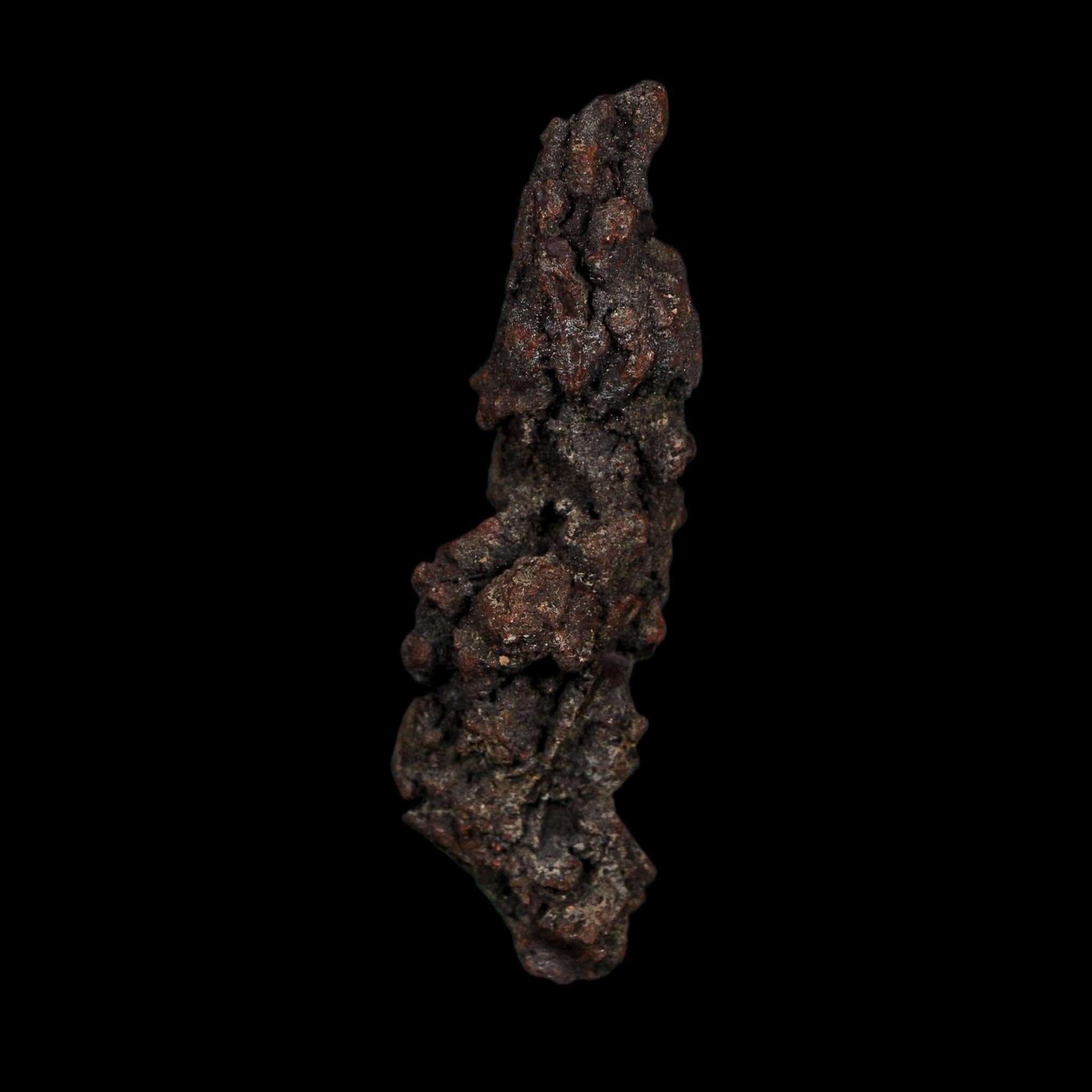 3.2" Prehistoric Coprolite Fossil Specimen Poop Dung Miocene Age Madagascar COA - Fossil Age Minerals