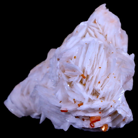 2.2" Sparkly Red Vanadinite Crystals White Barite Blades Mineral Mabladen Morocco - Fossil Age Minerals