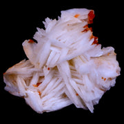 1.6" Sparkly Red Vanadinite Crystals White Barite Blades Mineral Mabladen Morocco