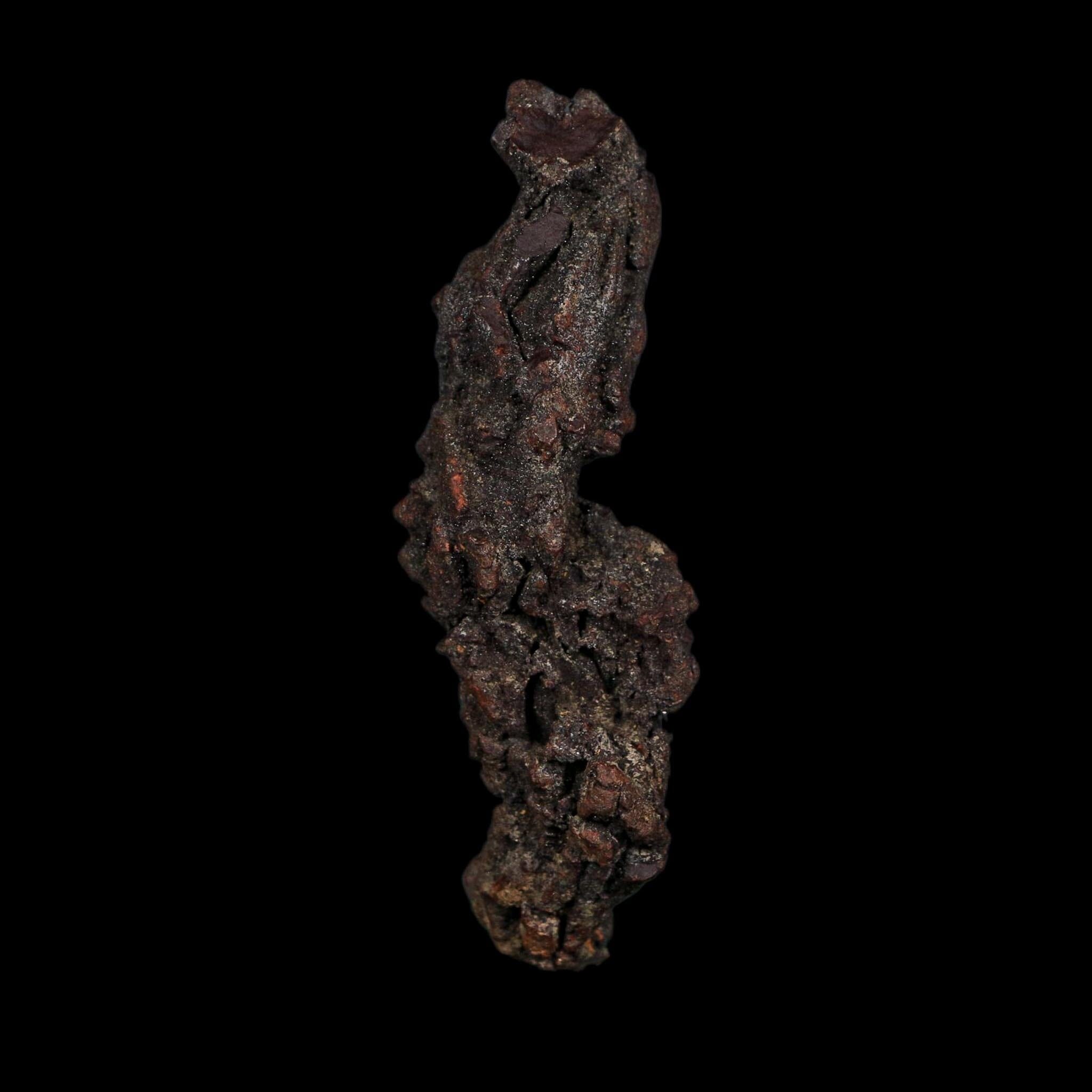 3.2" Prehistoric Coprolite Fossil Specimen Poop Dung Miocene Age Madagascar COA - Fossil Age Minerals