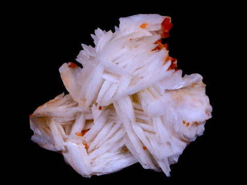 1.6" Sparkly Red Vanadinite Crystals White Barite Blades Mineral Mabladen Morocco - Fossil Age Minerals