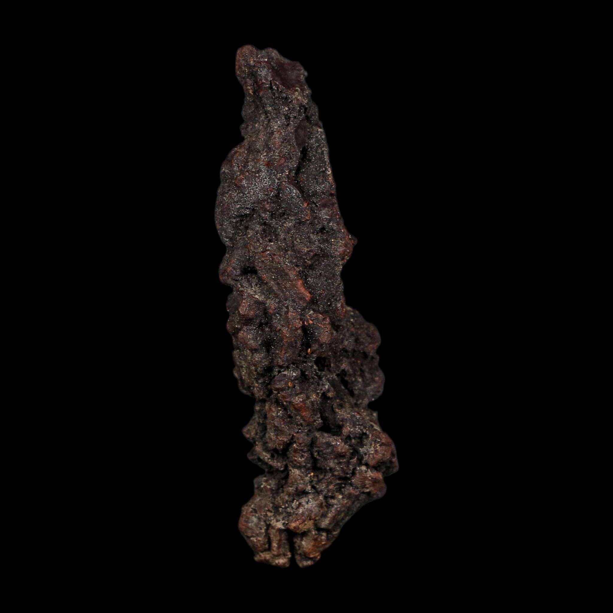 3.2" Prehistoric Coprolite Fossil Specimen Poop Dung Miocene Age Madagascar COA - Fossil Age Minerals