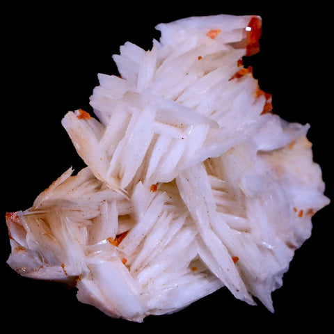 1.6" Sparkly Red Vanadinite Crystals White Barite Blades Mineral Mabladen Morocco - Fossil Age Minerals