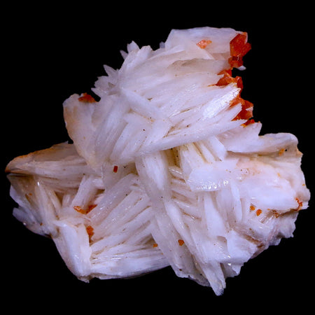 1.6" Sparkly Red Vanadinite Crystals White Barite Blades Mineral Mabladen Morocco