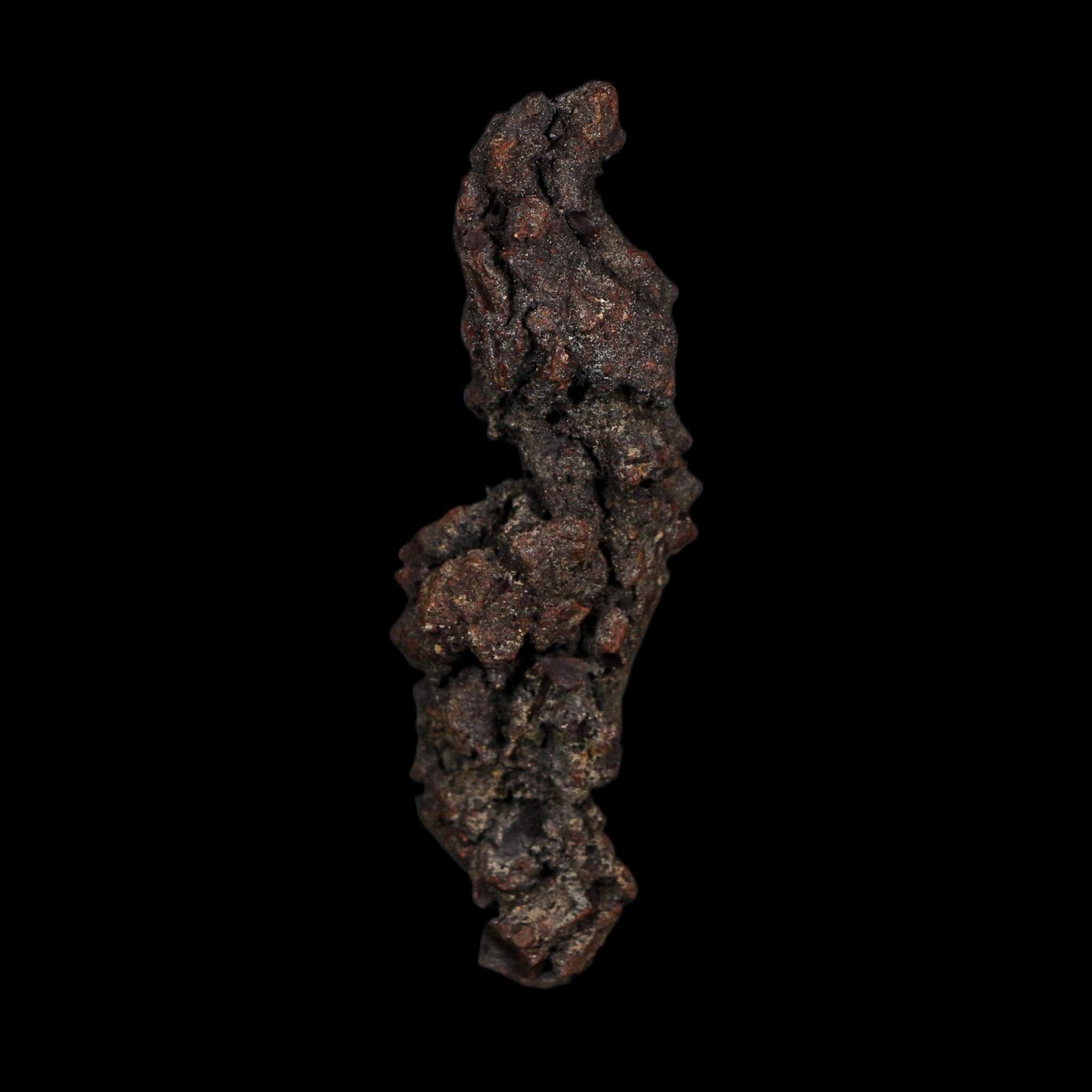3.2" Prehistoric Coprolite Fossil Specimen Poop Dung Miocene Age Madagascar COA - Fossil Age Minerals