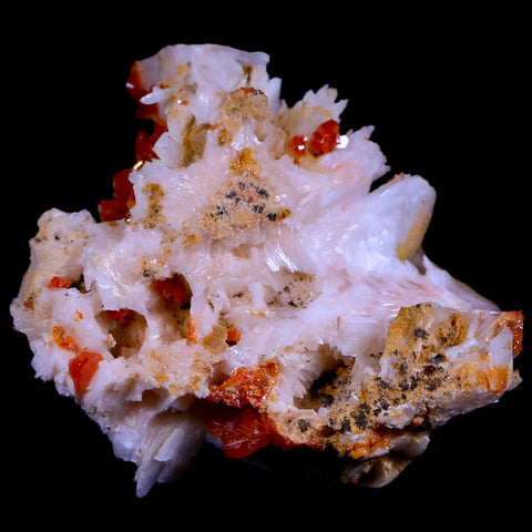 1.6" Sparkly Red Vanadinite Crystals White Barite Blades Mineral Mabladen Morocco - Fossil Age Minerals