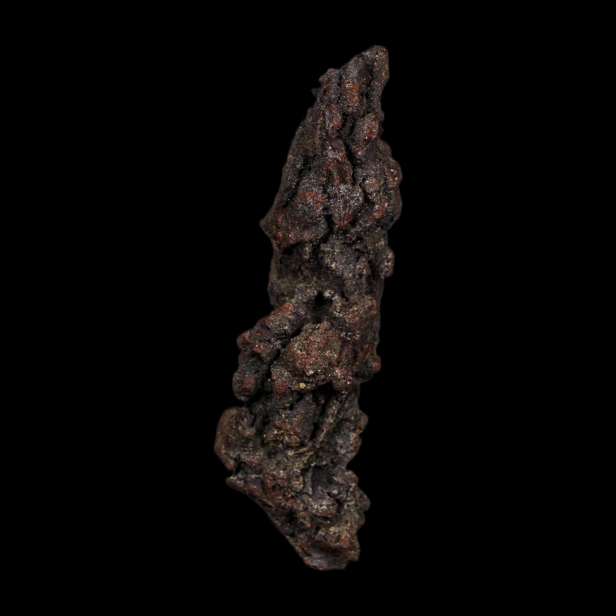 3.2" Prehistoric Coprolite Fossil Specimen Poop Dung Miocene Age Madagascar COA - Fossil Age Minerals