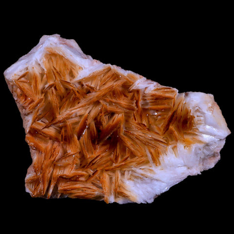3.6" Orange Barite Blades Crystal Mineral Specimen Mabladen Morocco - Fossil Age Minerals