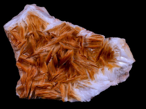3.6" Orange Barite Blades Crystal Mineral Specimen Mabladen Morocco - Fossil Age Minerals