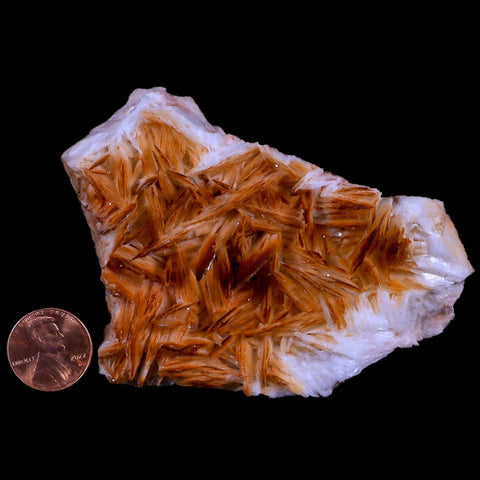 3.6" Orange Barite Blades Crystal Mineral Specimen Mabladen Morocco - Fossil Age Minerals