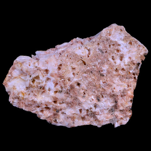 3.6" Orange Barite Blades Crystal Mineral Specimen Mabladen Morocco - Fossil Age Minerals