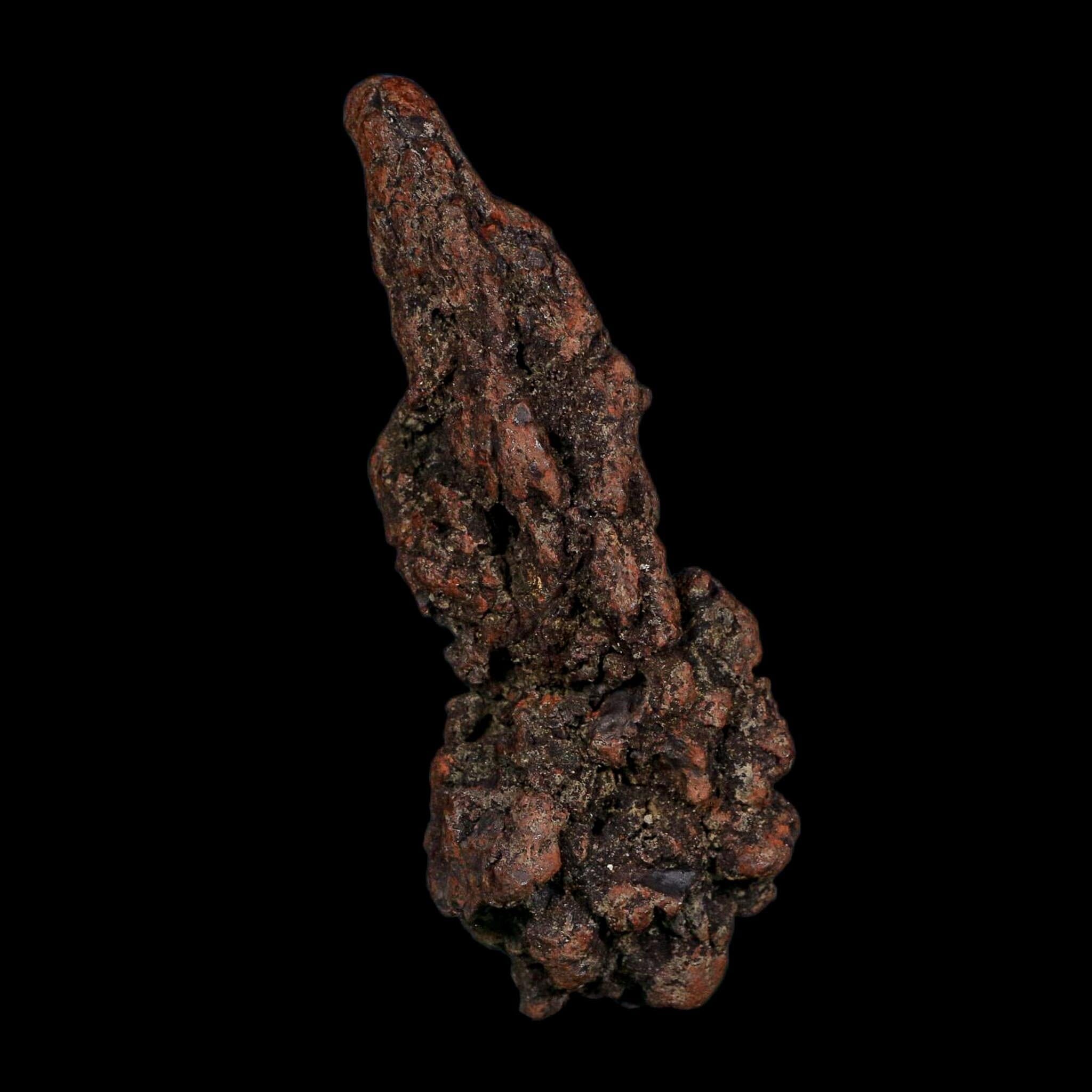 3.7" Prehistoric Coprolite Fossil Specimen Poop Dung Miocene Age Madagascar COA - Fossil Age Minerals