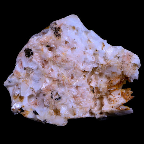 2.9" Sparkly Red Vanadinite Crystals Orange Barite Blades Mineral Mabladen Morocco - Fossil Age Minerals