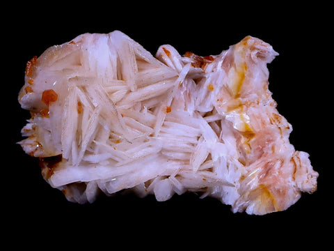 2.3" Sparkly Red Vanadinite Crystals White Barite Blades Mineral Morocco 2.8 OZ - Fossil Age Minerals