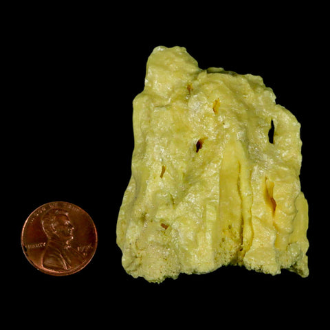 2.2" Rough Bright Yellow Sulfur Crystal Mineral Specimen From Louisiana - Fossil Age Minerals