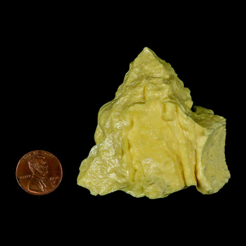 2.4" Rough Bright Yellow Sulfur Crystal Mineral Specimen From Louisiana - Fossil Age Minerals
