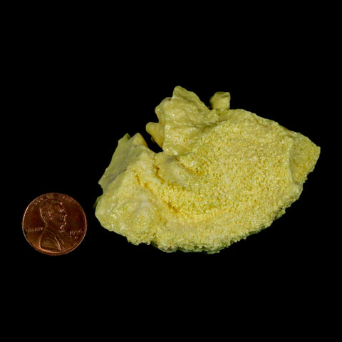 2.8" Rough Bright Yellow Sulfur Crystal Mineral Specimen From Louisiana - Fossil Age Minerals