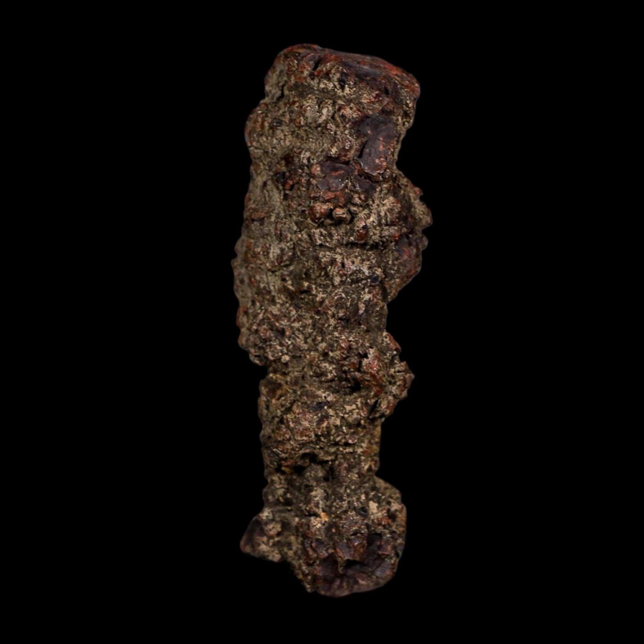 3.5" Prehistoric Coprolite Fossil Specimen Poop Dung Miocene Age Madagascar COA - Fossil Age Minerals