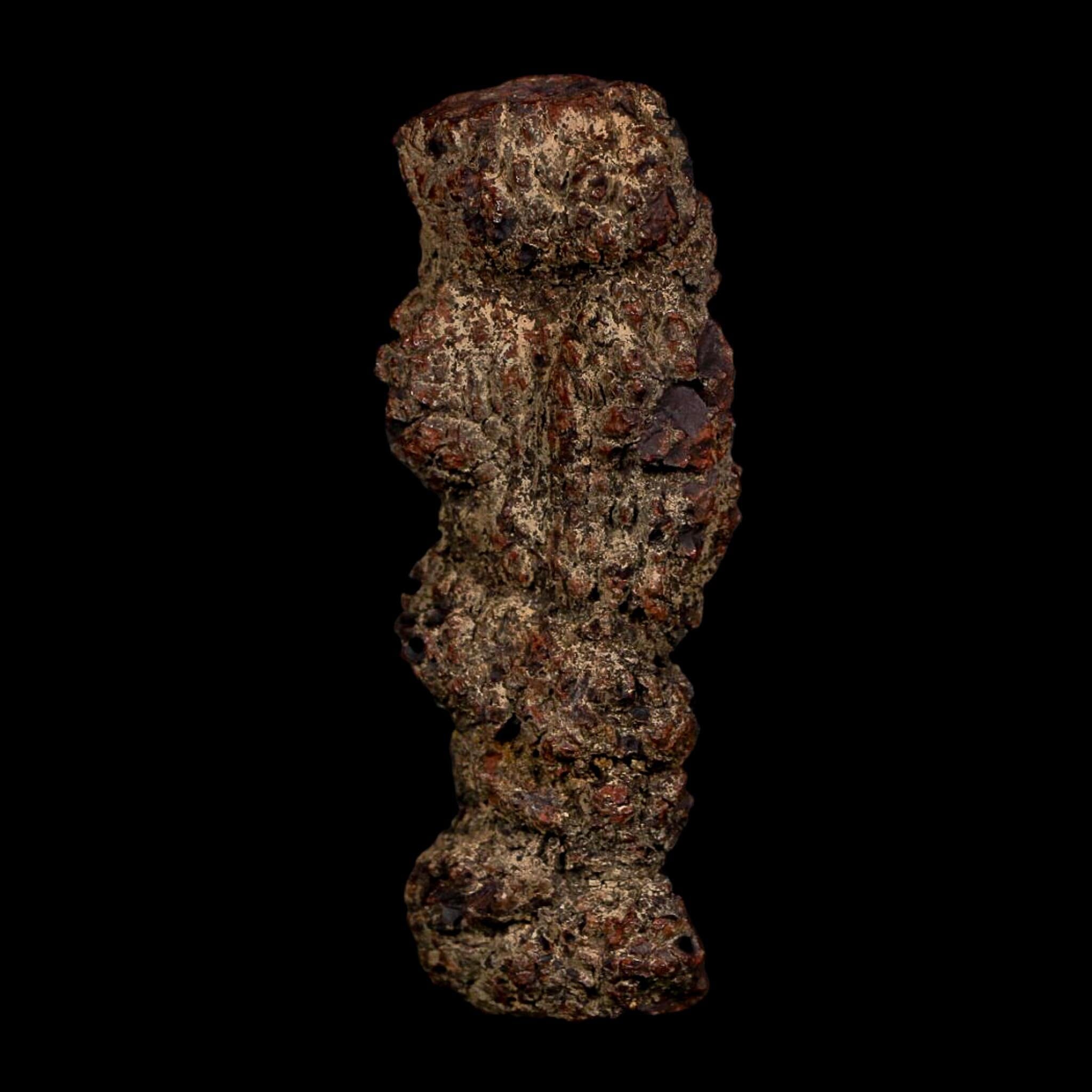 3.5" Prehistoric Coprolite Fossil Specimen Poop Dung Miocene Age Madagascar COA - Fossil Age Minerals