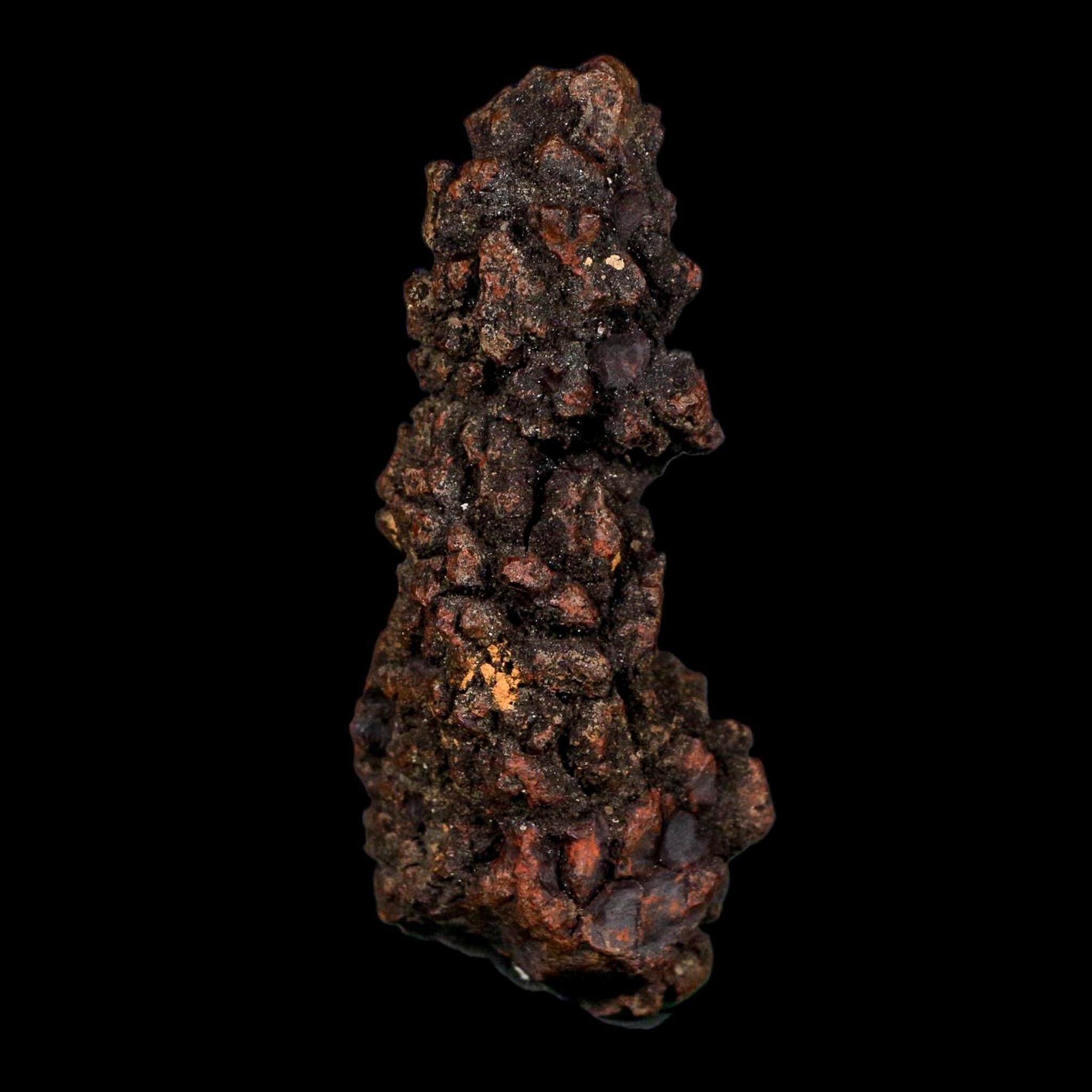 3.2" Prehistoric Coprolite Fossil Specimen Poop Dung Miocene Age Madagascar COA - Fossil Age Minerals