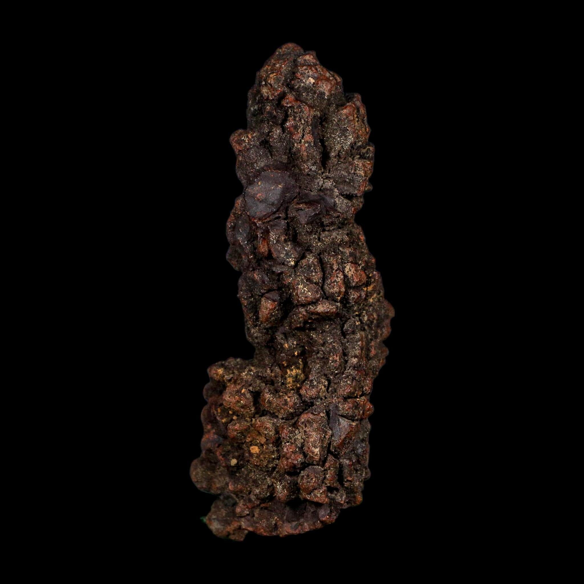 3.2" Prehistoric Coprolite Fossil Specimen Poop Dung Miocene Age Madagascar COA - Fossil Age Minerals
