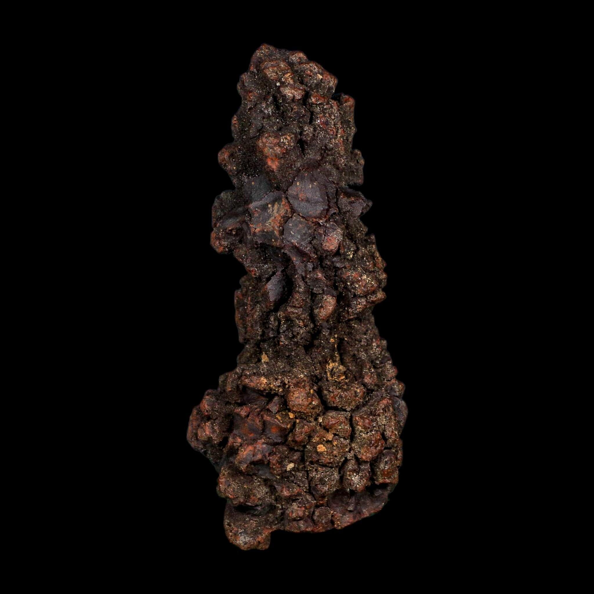 3.2" Prehistoric Coprolite Fossil Specimen Poop Dung Miocene Age Madagascar COA - Fossil Age Minerals