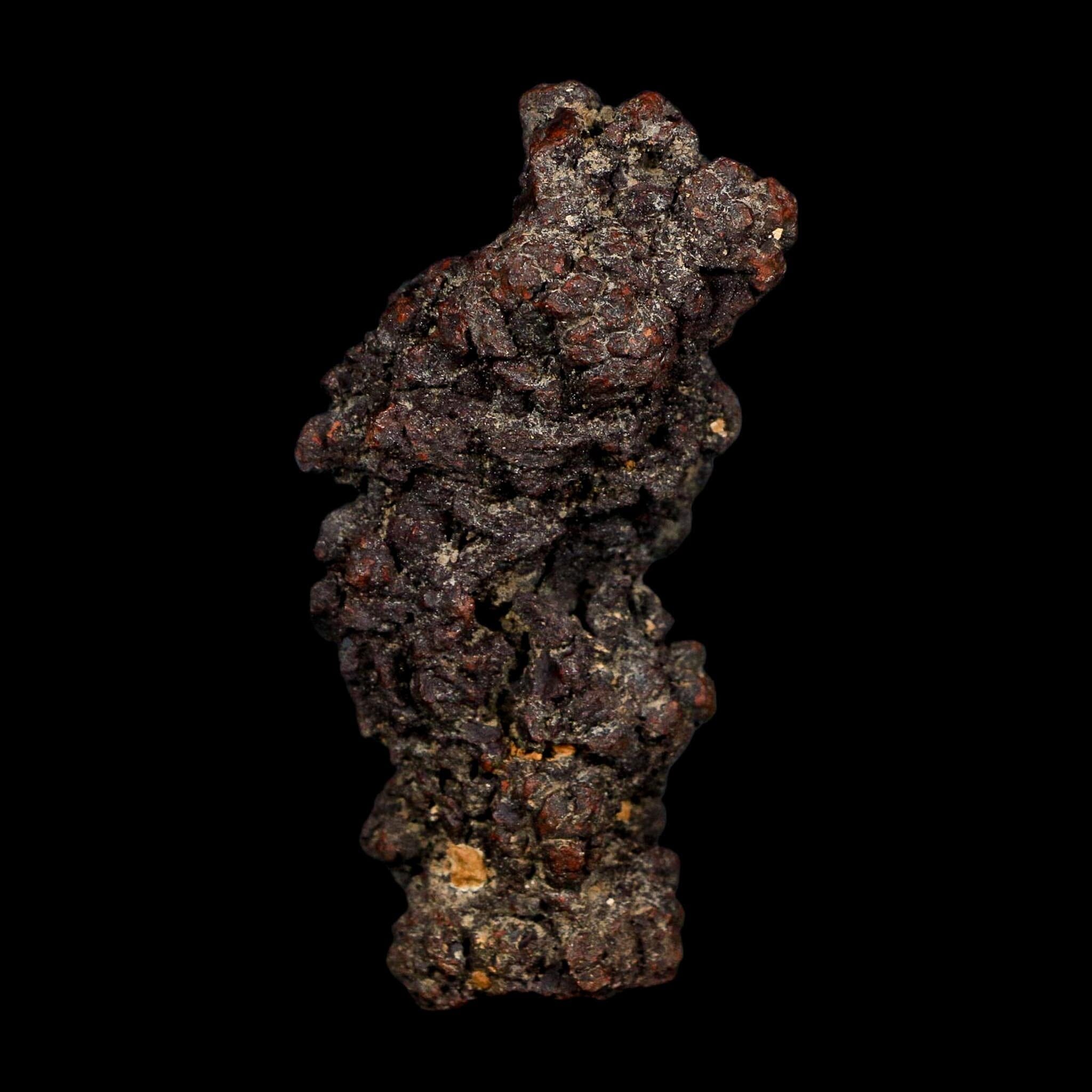3.1" Prehistoric Coprolite Fossil Specimen Poop Dung Miocene Age Madagascar COA - Fossil Age Minerals