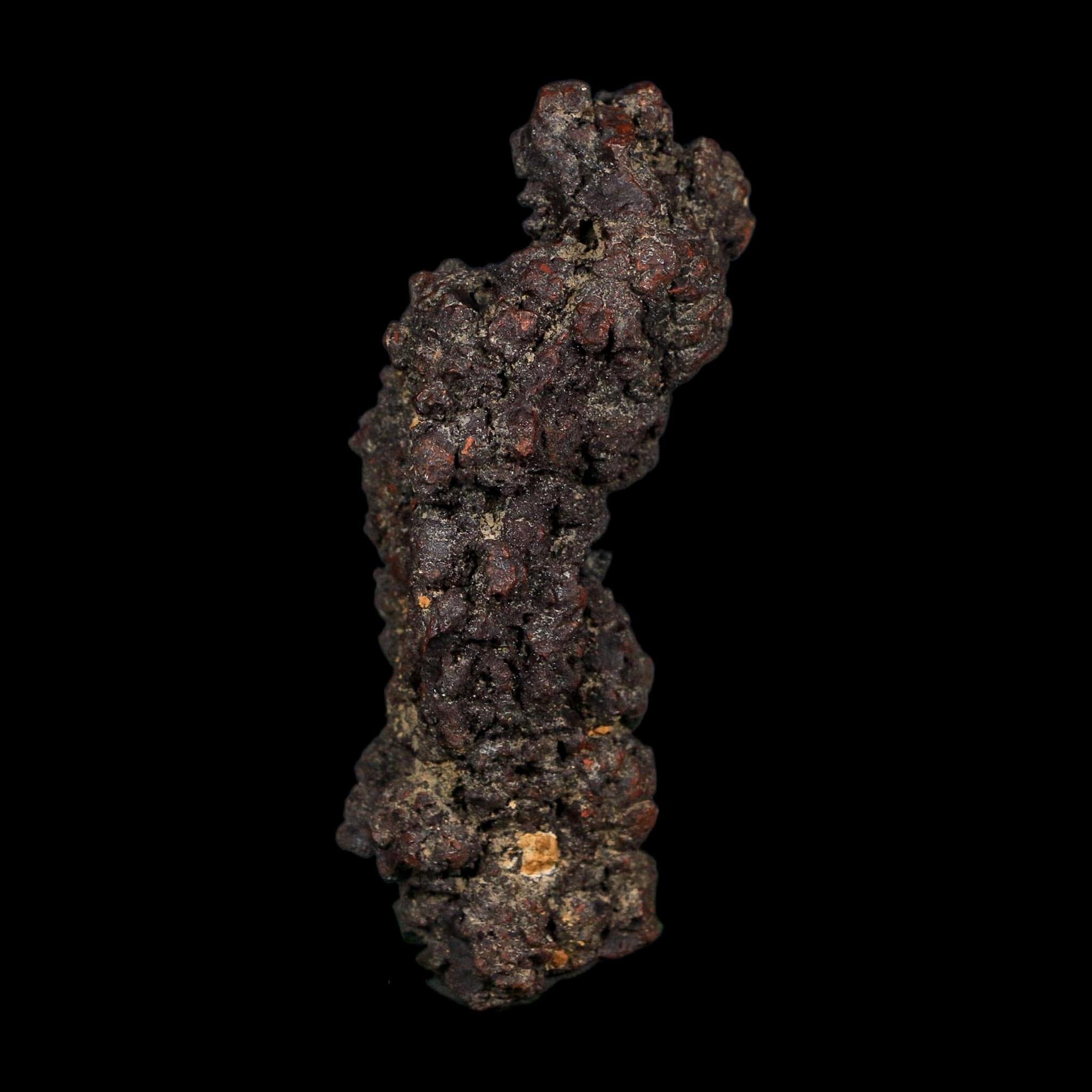 3.1" Prehistoric Coprolite Fossil Specimen Poop Dung Miocene Age Madagascar COA - Fossil Age Minerals